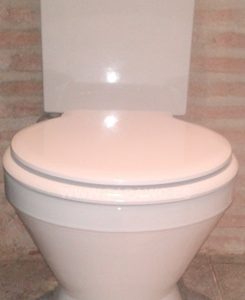 Asiento inodoro REFLEX fijo tapawc compatible Unisan Sanindusa AMORTIGUADO