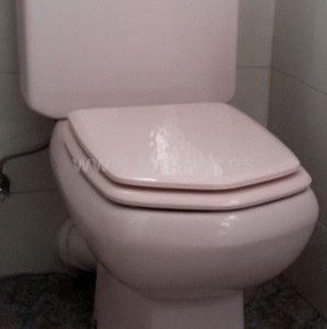 Asiento inodoro AQUARIA tapawc compatible Roca AMORTIGUADO