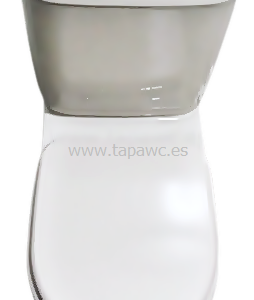 Asiento ALTAIR tapawc compatible Jacob Delafon AMORTIGUADO