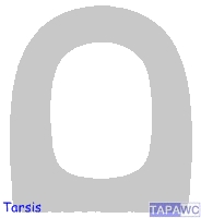 Asiento inodoro TARSIS tapawc compatible Bellavista